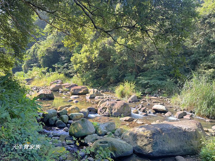 蓬萊溪護魚步道、親子步道推薦、蓬萊溪護魚步道要走多久、蓬萊溪護魚步道附近景點、蓬萊溪護魚步道的圖片、蓬萊溪護魚步道地圖、蓬萊溪護魚步道的評論、蓬萊溪護魚步道天氣、蓬萊溪護魚步道開放