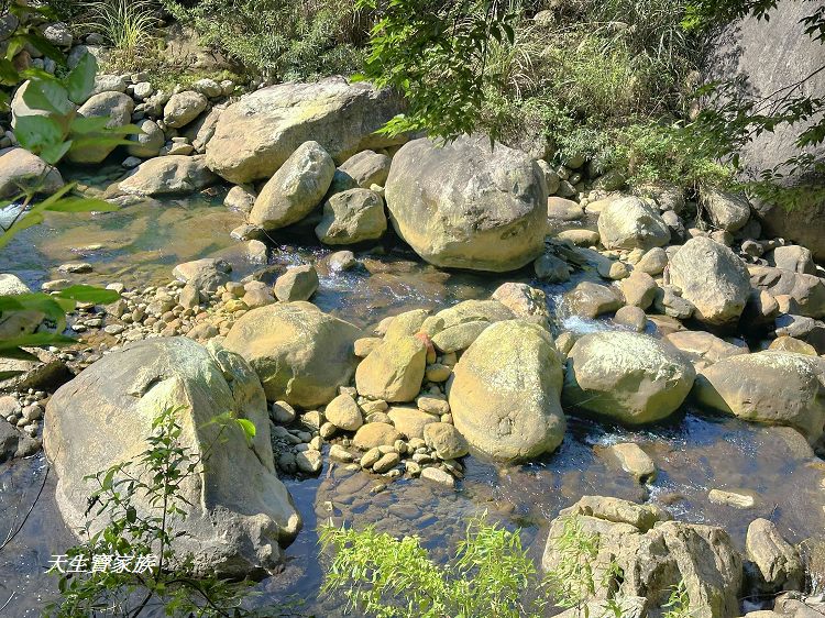 蓬萊溪護魚步道、親子步道推薦、蓬萊溪護魚步道要走多久、蓬萊溪護魚步道附近景點、蓬萊溪護魚步道的圖片、蓬萊溪護魚步道地圖、蓬萊溪護魚步道的評論、蓬萊溪護魚步道天氣、蓬萊溪護魚步道開放