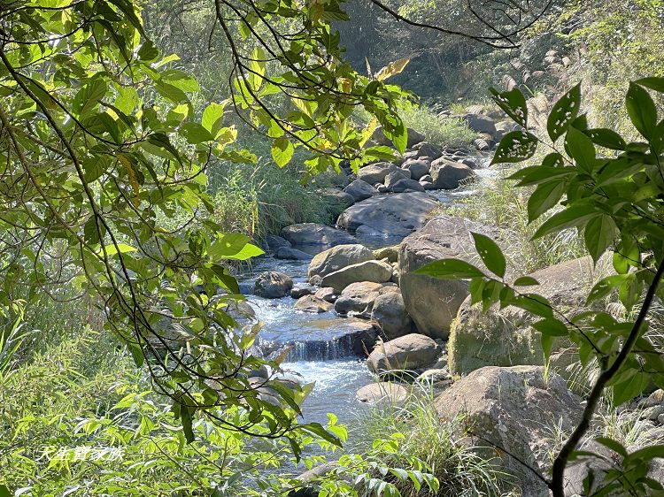蓬萊溪護魚步道、親子步道推薦、蓬萊溪護魚步道要走多久、蓬萊溪護魚步道附近景點、蓬萊溪護魚步道的圖片、蓬萊溪護魚步道地圖、蓬萊溪護魚步道的評論、蓬萊溪護魚步道天氣、蓬萊溪護魚步道開放