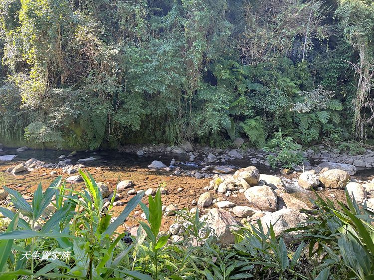 蓬萊溪護魚步道、親子步道推薦、蓬萊溪護魚步道要走多久、蓬萊溪護魚步道附近景點、蓬萊溪護魚步道的圖片、蓬萊溪護魚步道地圖、蓬萊溪護魚步道的評論、蓬萊溪護魚步道天氣、蓬萊溪護魚步道開放