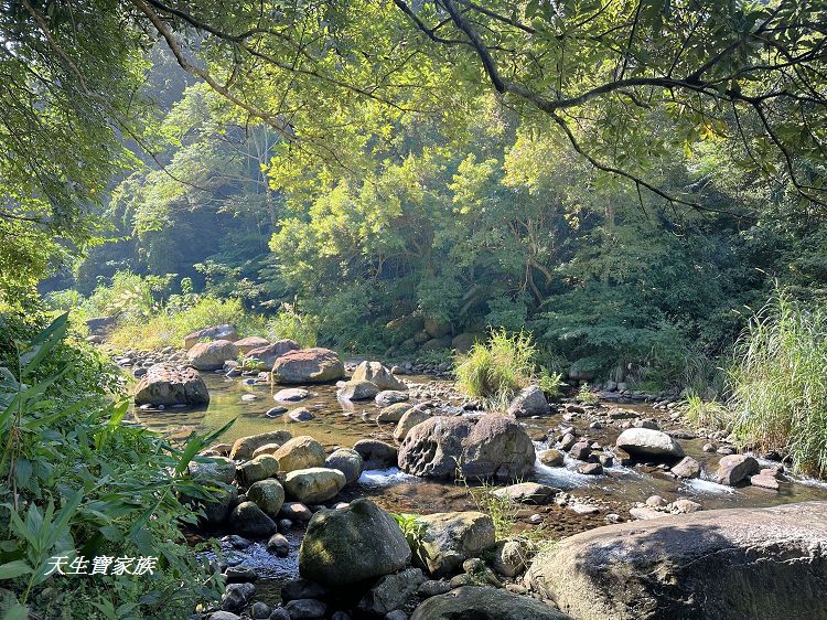 蓬萊溪護魚步道、親子步道推薦、蓬萊溪護魚步道要走多久、蓬萊溪護魚步道附近景點、蓬萊溪護魚步道的圖片、蓬萊溪護魚步道地圖、蓬萊溪護魚步道的評論、蓬萊溪護魚步道天氣、蓬萊溪護魚步道開放