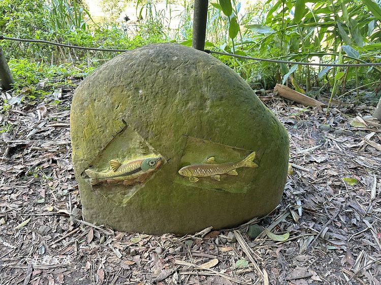 蓬萊溪護魚步道、親子步道推薦、蓬萊溪護魚步道要走多久、蓬萊溪護魚步道附近景點、蓬萊溪護魚步道的圖片、蓬萊溪護魚步道地圖、蓬萊溪護魚步道的評論、蓬萊溪護魚步道天氣、蓬萊溪護魚步道開放