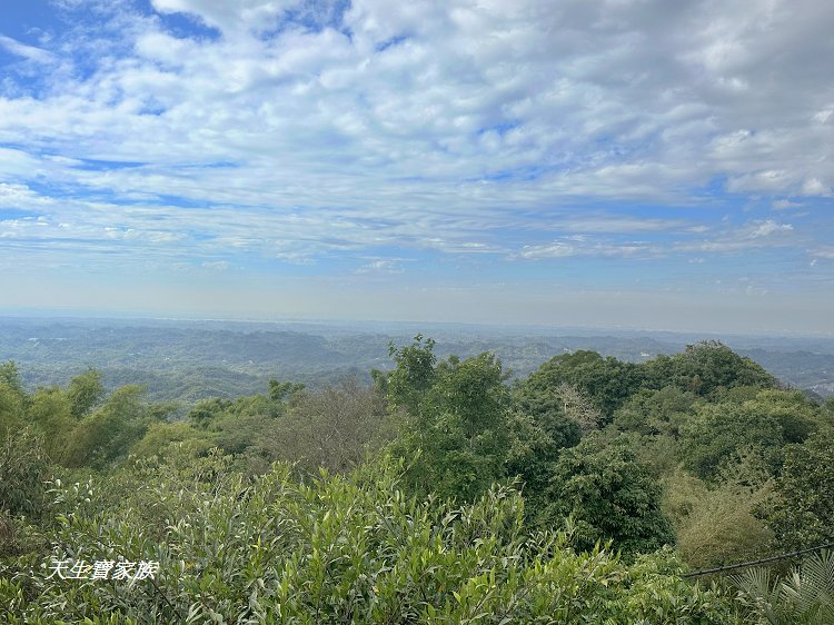 龍崎土雞城、龍船山莊菜單、龍船山莊土雞城的評論、龍船山莊土雞城相片、308高地龍船山莊土雞城 龍崎土雞城、龍船山莊菜單、龍船山莊土雞城的評論、龍船山莊土雞城相片、308高地龍船山莊土雞城