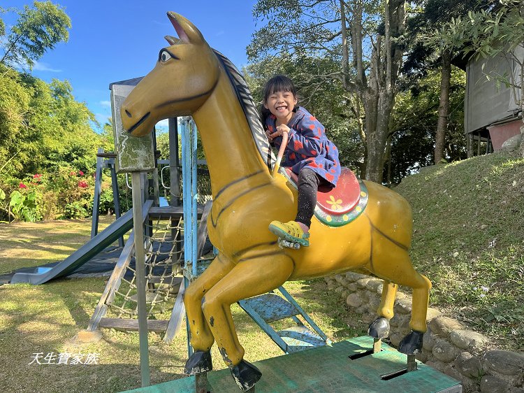 龍崎土雞城、龍船山莊菜單、龍船山莊土雞城的評論、龍船山莊土雞城相片、308高地龍船山莊土雞城