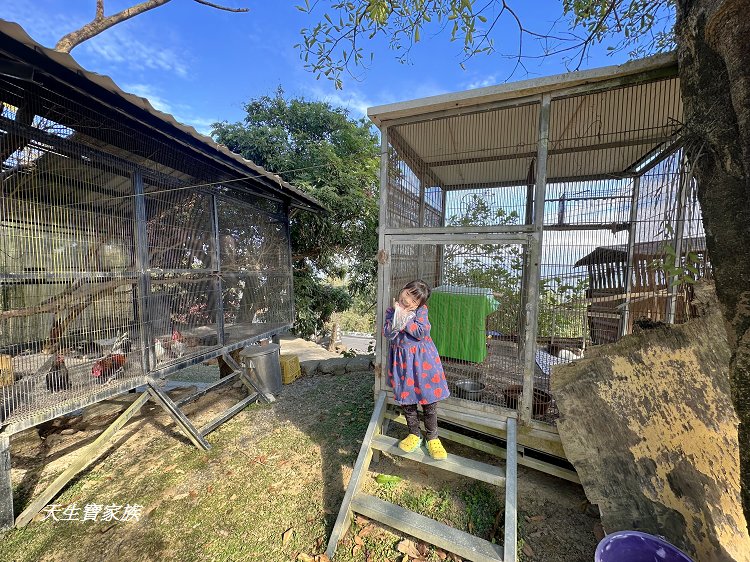 龍崎土雞城、龍船山莊菜單、龍船山莊土雞城的評論、龍船山莊土雞城相片、308高地龍船山莊土雞城 龍崎土雞城、龍船山莊菜單、龍船山莊土雞城的評論、龍船山莊土雞城相片、308高地龍船山莊土雞城