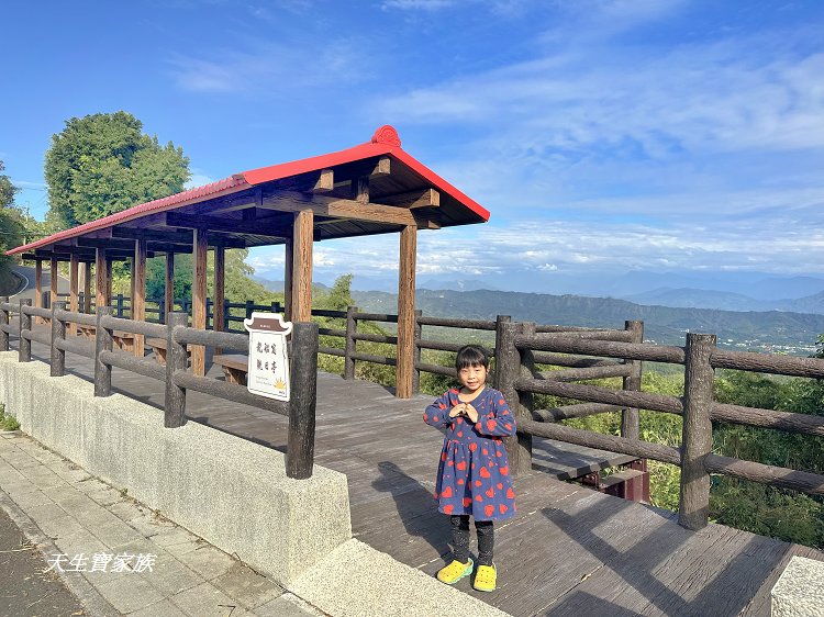 龍崎土雞城、龍船山莊菜單、龍船山莊土雞城的評論、龍船山莊土雞城相片、308高地龍船山莊土雞城
