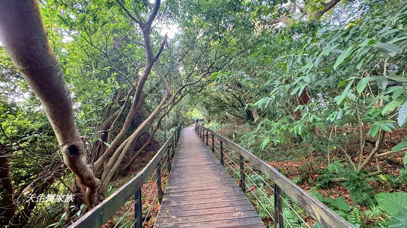 芝山岩文化史蹟公園、芝山岩探坑展示館、芝山岩文化史蹟公園捷運、芝山岩史蹟公園、芝山岩公園