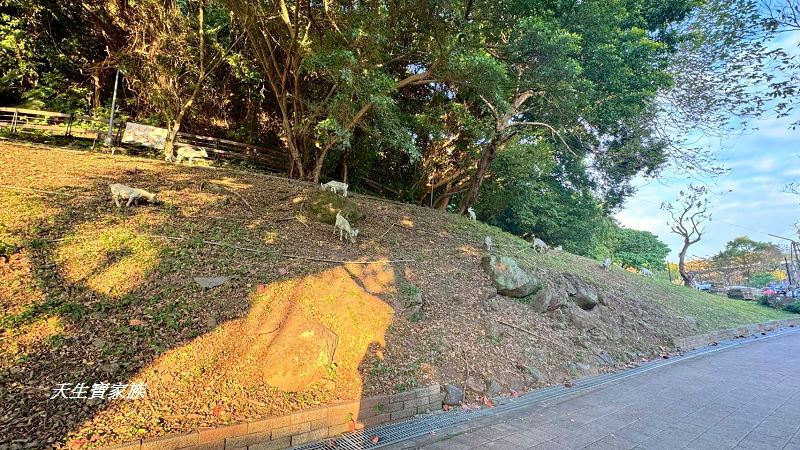 芝山岩文化史蹟公園、芝山岩探坑展示館、芝山岩文化史蹟公園捷運、芝山岩史蹟公園、芝山岩公園