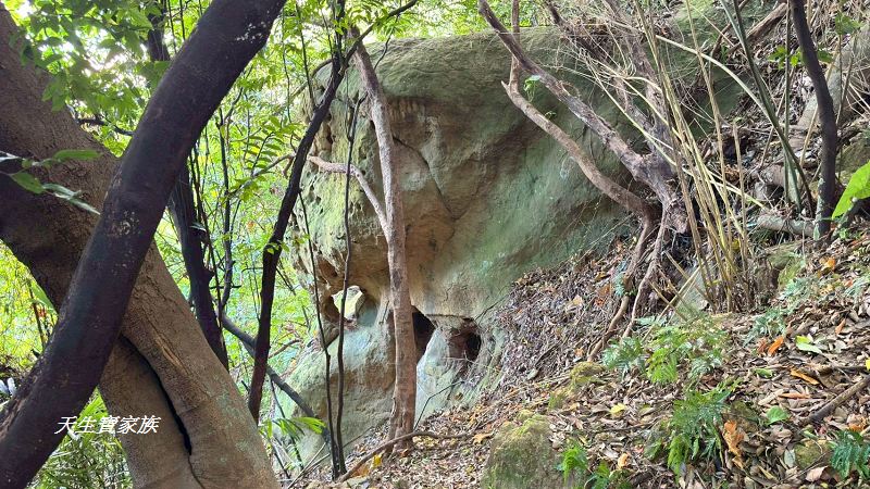 芝山岩文化史蹟公園、芝山岩探坑展示館、芝山岩文化史蹟公園捷運、芝山岩史蹟公園、芝山岩公園