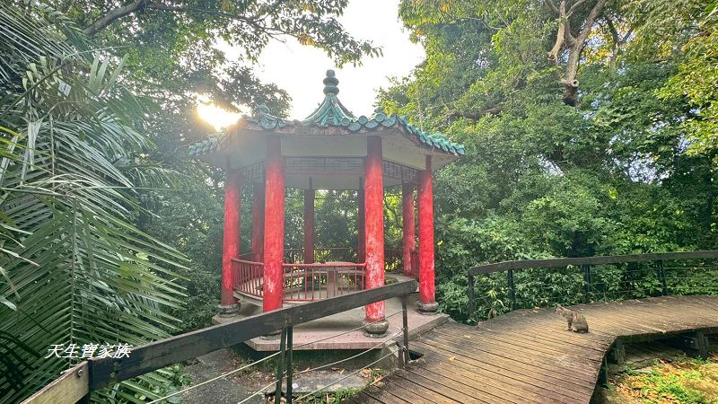 芝山岩文化史蹟公園、芝山岩探坑展示館、芝山岩文化史蹟公園捷運、芝山岩史蹟公園、芝山岩公園