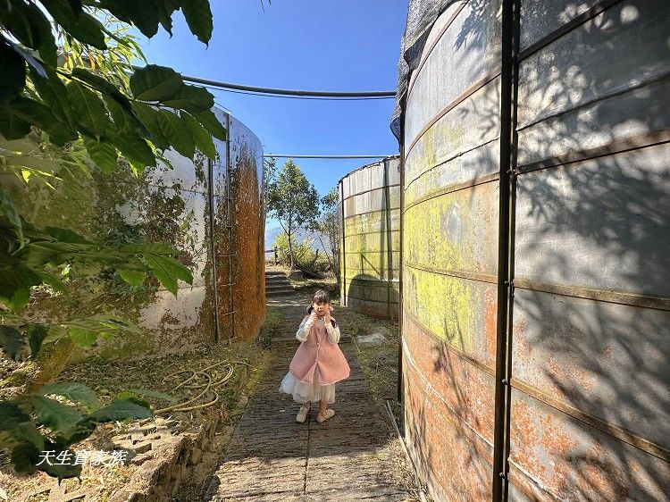 巃頂步道觀景台、巃頂步道的圖片、巃頂步道停車、巃頂步道的評論、巃頂步道、隙頂巃頂步道