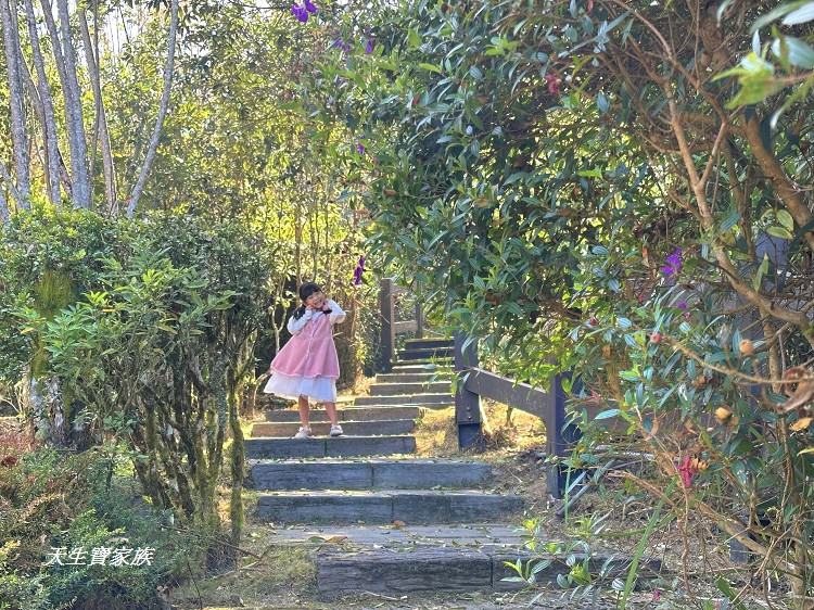 巃頂步道觀景台、巃頂步道的圖片、巃頂步道停車、巃頂步道的評論、巃頂步道、隙頂巃頂步道