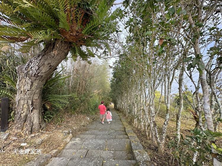 巃頂步道觀景台、巃頂步道的圖片、巃頂步道停車、巃頂步道的評論、巃頂步道、隙頂巃頂步道