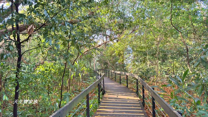 芝山岩文化史蹟公園、芝山岩探坑展示館、芝山岩文化史蹟公園捷運、芝山岩史蹟公園、芝山岩公園