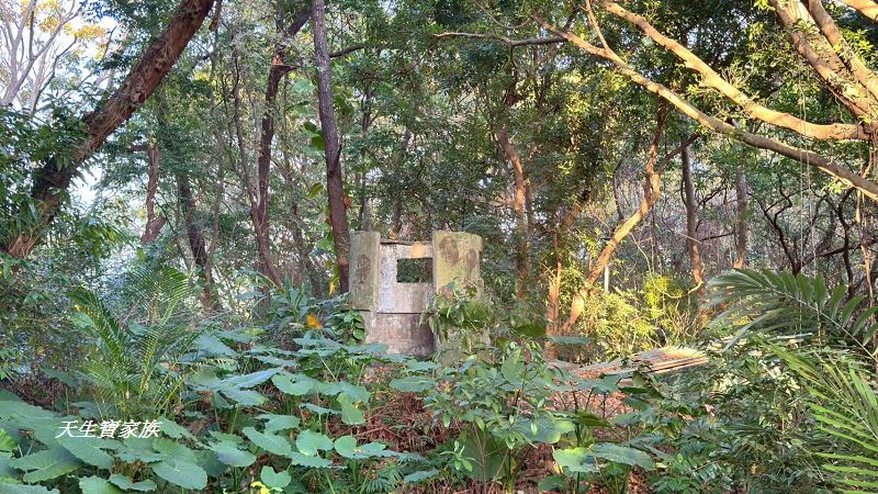 芝山岩文化史蹟公園、芝山岩探坑展示館、芝山岩文化史蹟公園捷運、芝山岩史蹟公園、芝山岩公園