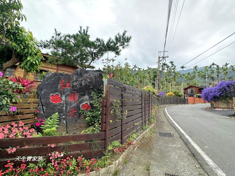 溪頭紅瓣天民宿、溪頭紅瓣天、小半天民宿推薦、溪頭小半天民宿、溪頭紅瓣天民宿價格、溪頭紅瓣天民宿評論