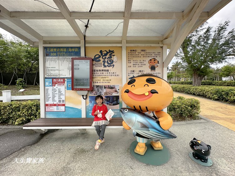 曼波海洋生態休閒園區、四八高地戰備坑道、花蓮農好基地、岸上的曼波魚、青石巖座、四八高地瞭望台、七星潭海岸斷面樁UA24