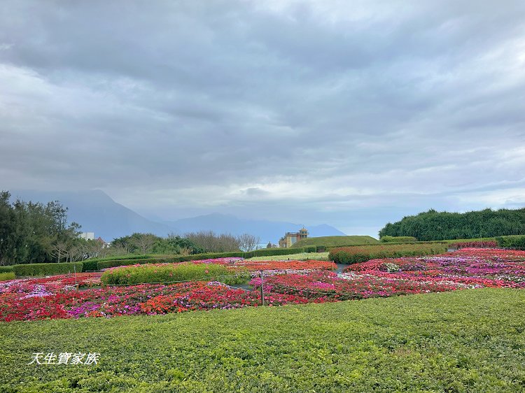 曼波海洋生態休閒園區、四八高地戰備坑道、花蓮農好基地、岸上的曼波魚、青石巖座、四八高地瞭望台、七星潭海岸斷面樁UA24