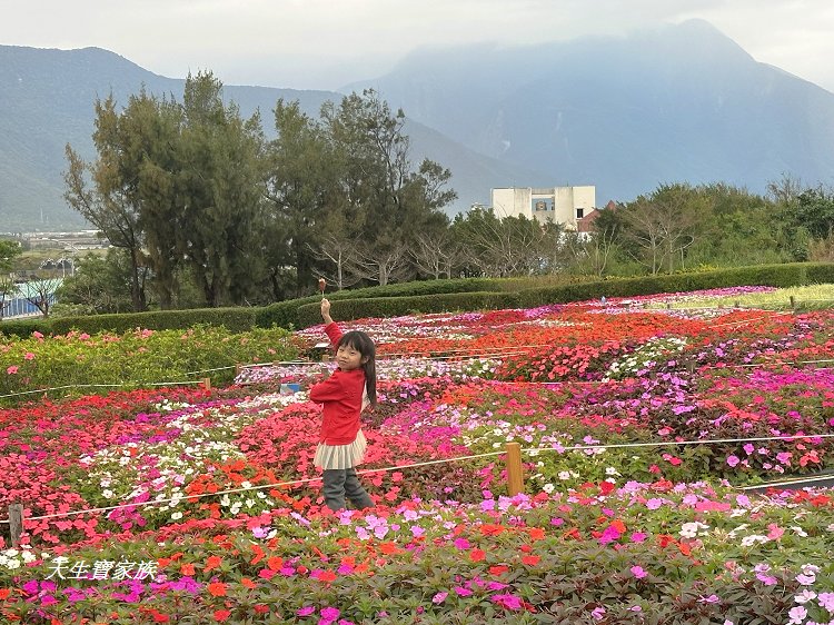 曼波海洋生態休閒園區、四八高地戰備坑道、花蓮農好基地、岸上的曼波魚、青石巖座、四八高地瞭望台、七星潭海岸斷面樁UA24
