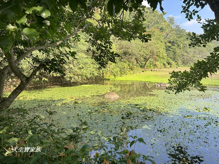 觸口自然教育中心、觸口樹木銀行、觸口自然教育中心門票、觸口自然教育中心寵物、觸口自然教育中心照片