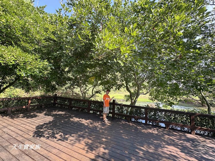 觸口自然教育中心、觸口樹木銀行、觸口自然教育中心門票、觸口自然教育中心寵物、觸口自然教育中心照片