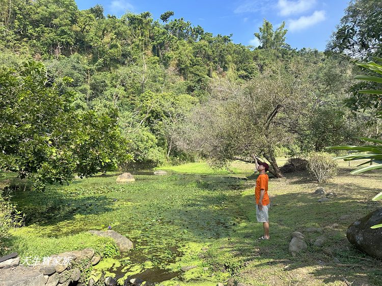 觸口自然教育中心、觸口樹木銀行、觸口自然教育中心門票、觸口自然教育中心寵物、觸口自然教育中心照片