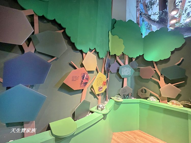 觸口自然教育中心、觸口樹木銀行、觸口自然教育中心門票、觸口自然教育中心寵物、觸口自然教育中心照片