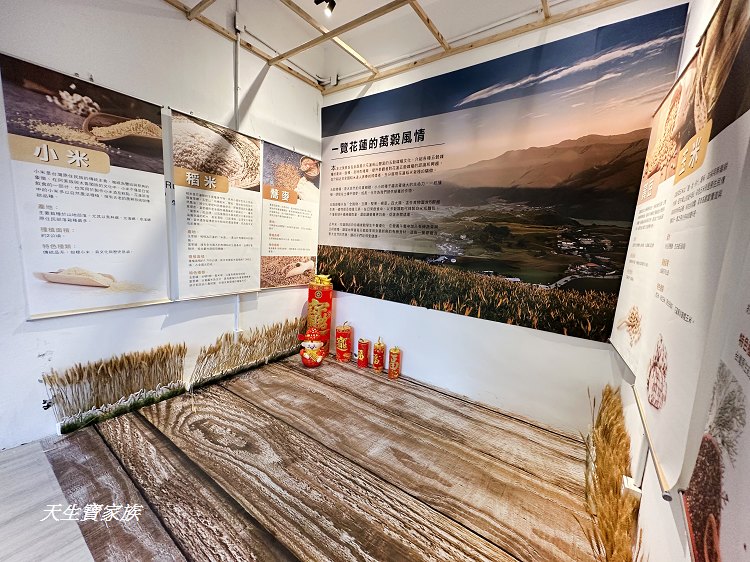 曼波海洋生態休閒園區、四八高地戰備坑道、花蓮農好基地、岸上的曼波魚、青石巖座、四八高地瞭望台、七星潭海岸斷面樁UA24