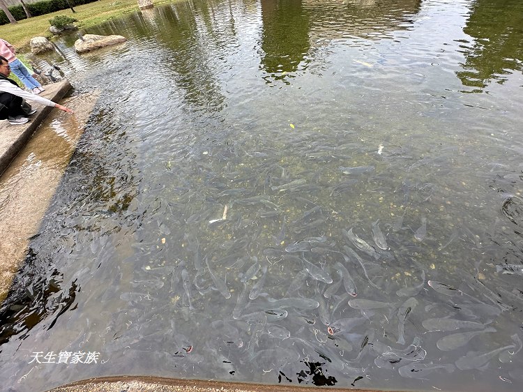 台灣海礦館海礦豆花diy、台灣海礦館豆花、台肥海洋深層水園區、多羅滿賞鯨海礦館分館、台灣海洋深層水、台灣海礦館、花蓮台灣海礦館