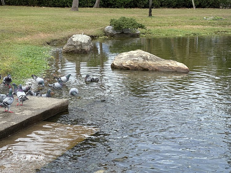 台灣海礦館海礦豆花diy、台灣海礦館豆花、台肥海洋深層水園區、多羅滿賞鯨海礦館分館、台灣海洋深層水、台灣海礦館、花蓮台灣海礦館