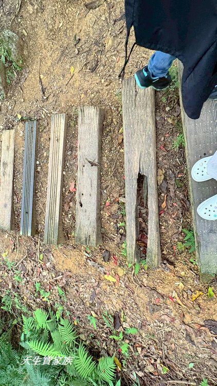 和美山步道、碧潭和美山步道、和美山步道登山口、和美山步道附近美食