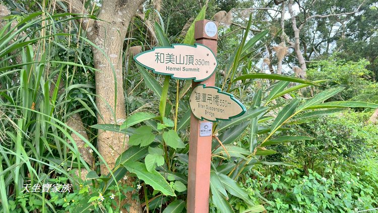 和美山步道、碧潭和美山步道、和美山步道登山口、和美山步道附近美食