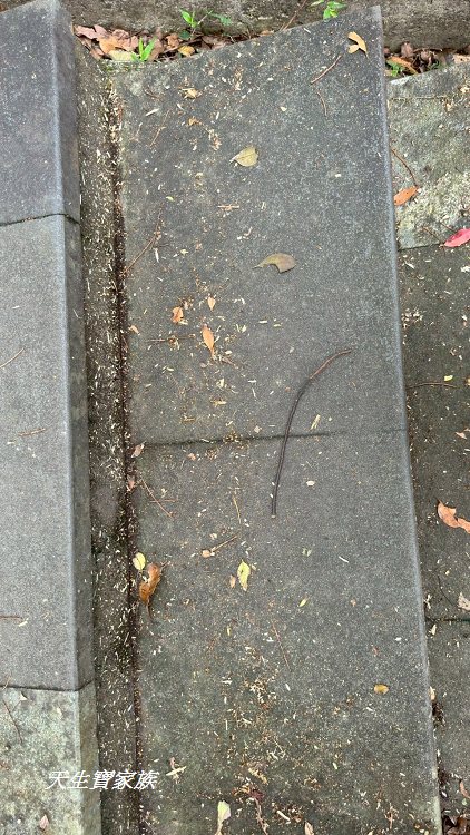 和美山步道、碧潭和美山步道、和美山步道登山口、和美山步道附近美食