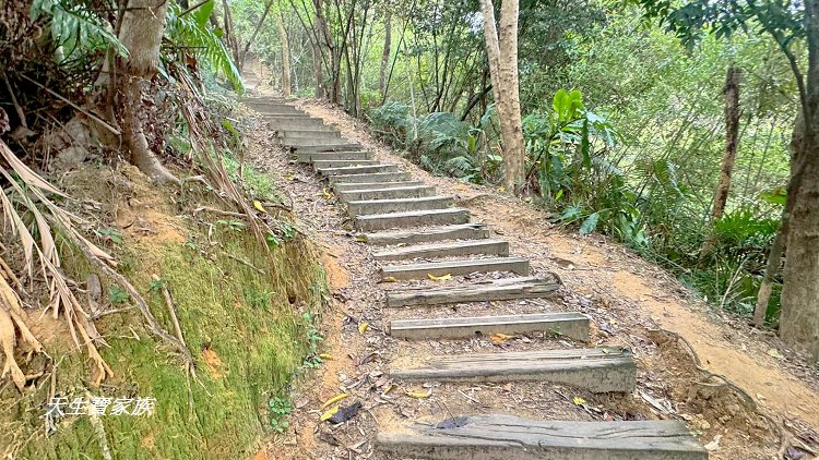 和美山步道、碧潭和美山步道、和美山步道登山口、和美山步道附近美食