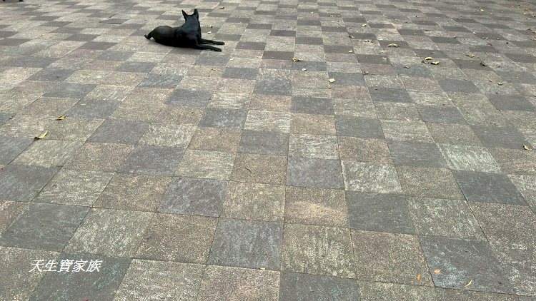 和美山步道、碧潭和美山步道、和美山步道登山口、和美山步道附近美食