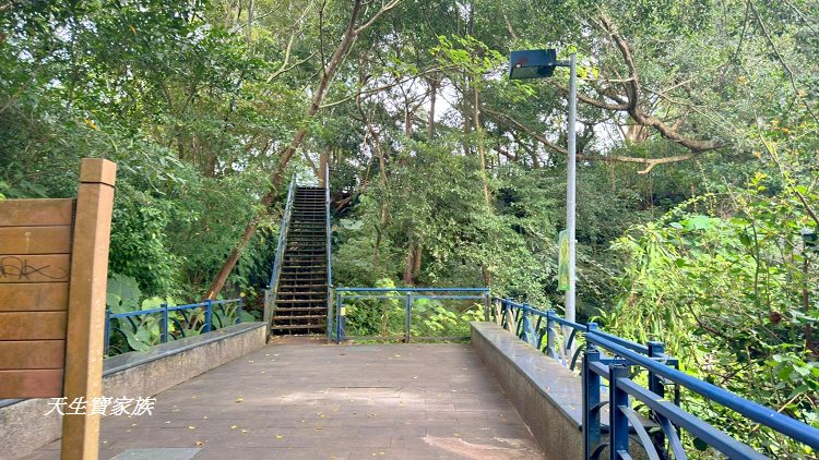 和美山步道、碧潭和美山步道、和美山步道登山口、和美山步道附近美食