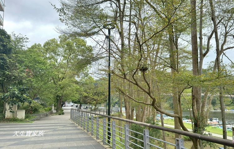 和美山步道、碧潭和美山步道、和美山步道登山口、和美山步道附近美食