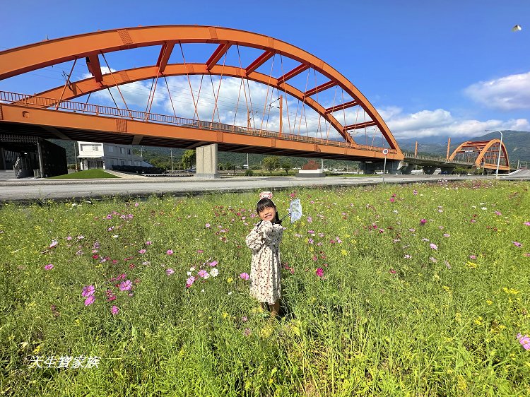 池上鄉福德宮,田中伯公廟,池上泡麵土地公,池上景點推薦,台東景點,池上一日遊