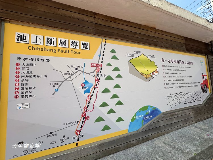 池上鄉福德宮,田中伯公廟,池上泡麵土地公,池上景點推薦,台東景點,池上一日遊