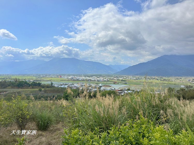 池上鄉福德宮,田中伯公廟,池上泡麵土地公,池上景點推薦,台東景點,池上一日遊