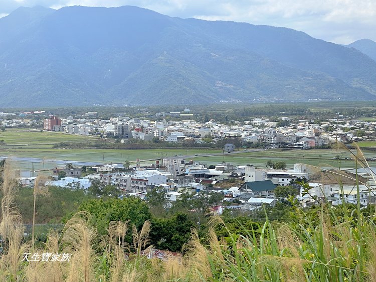池上鄉福德宮,田中伯公廟,池上泡麵土地公,池上景點推薦,台東景點,池上一日遊