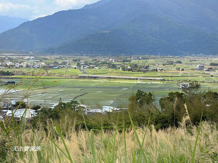 池上鄉福德宮,田中伯公廟,池上泡麵土地公,池上景點推薦,台東景點,池上一日遊