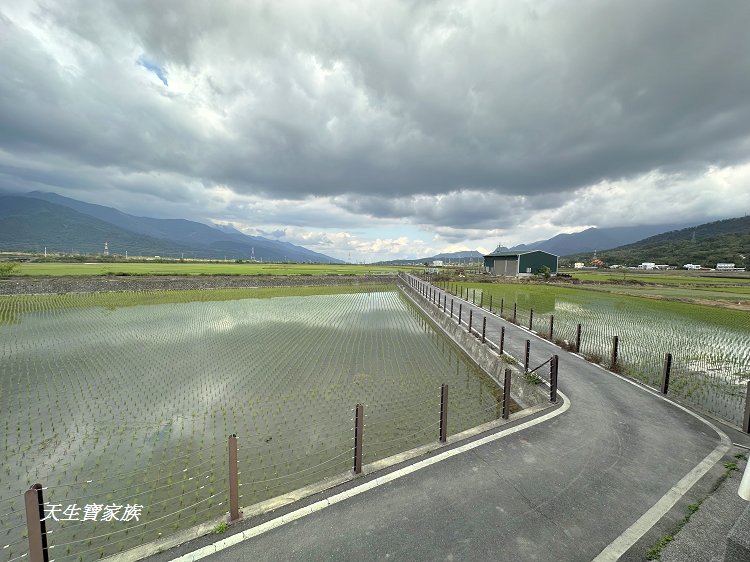 池上鄉福德宮,田中伯公廟,池上泡麵土地公,池上景點推薦,台東景點,池上一日遊