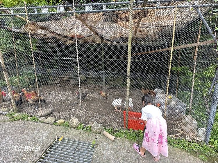 溪部好呆庄野宿體驗庄園,溪部好呆庄,溪部好呆庄評價,南投親子露營,南投豪華露營,鹿谷住宿推薦,溪部好呆庄露營體驗莊園 溪部好呆庄野宿體驗庄園,溪部好呆庄,溪部好呆庄評價,南投親子露營,南投豪華露營,鹿谷住宿推薦,溪部好呆庄露營體驗莊園